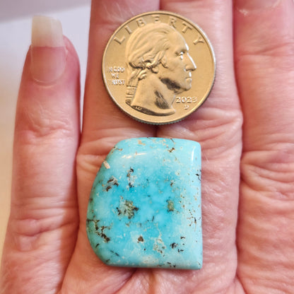 Turquoise #158 | Light Blue Sleeping Beauty