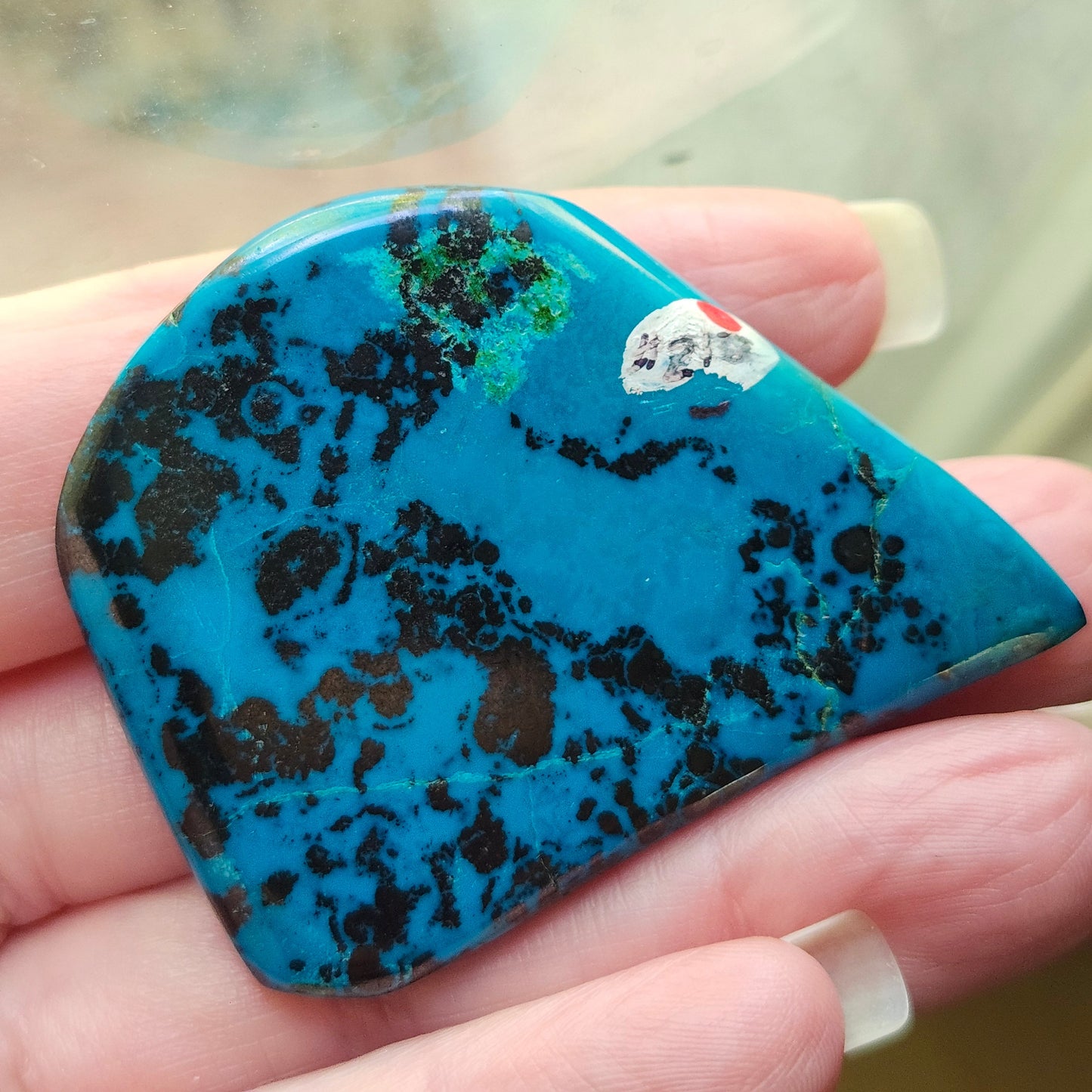 Chrysocolla #210 | Pala Region