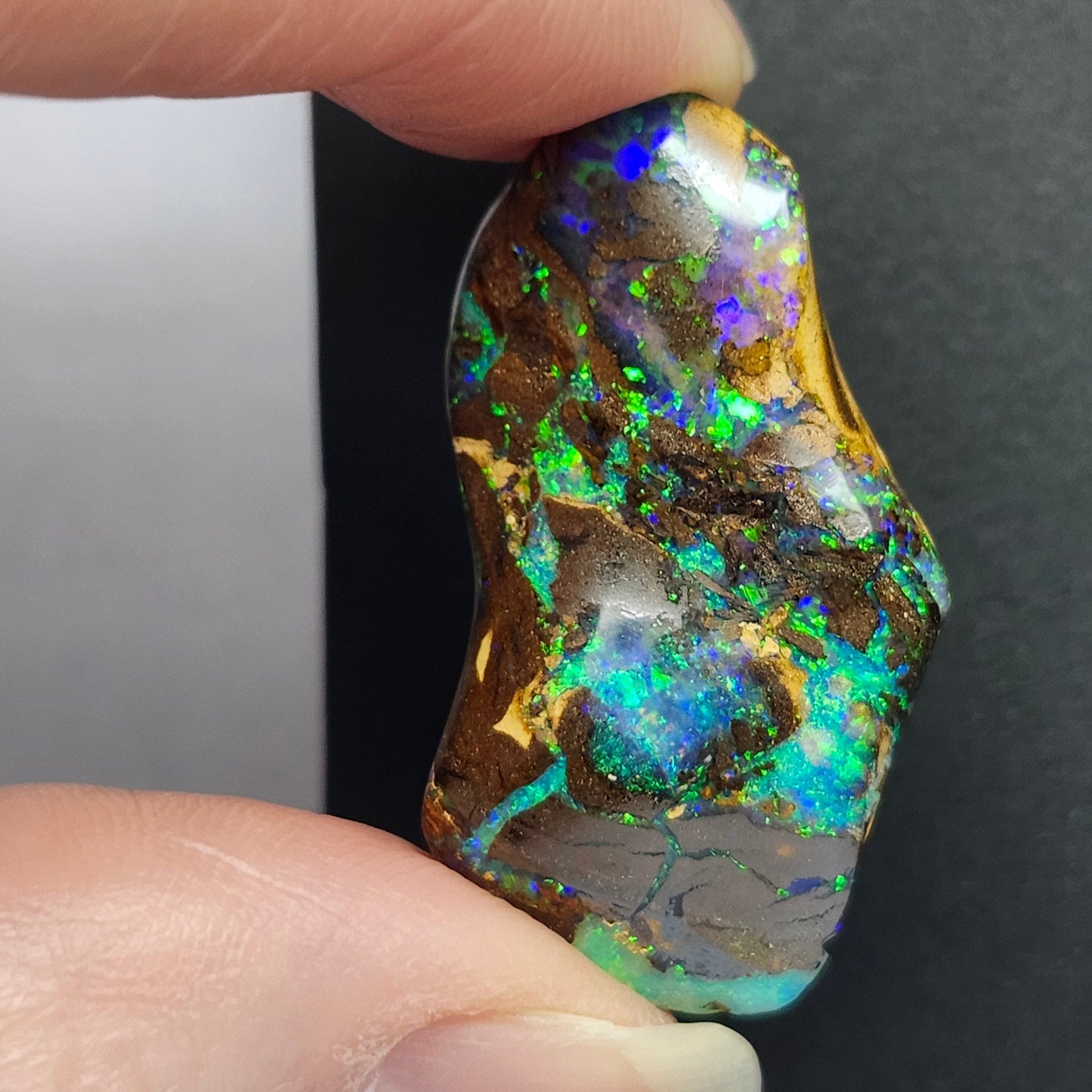20.60ct Koroit Boulder Matrix Opal | #E264