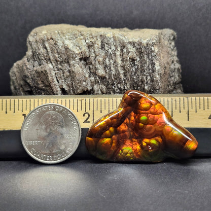 52.20ct Loose Slaughter Mountain Fire Agate | Freeform Cabochon | #8