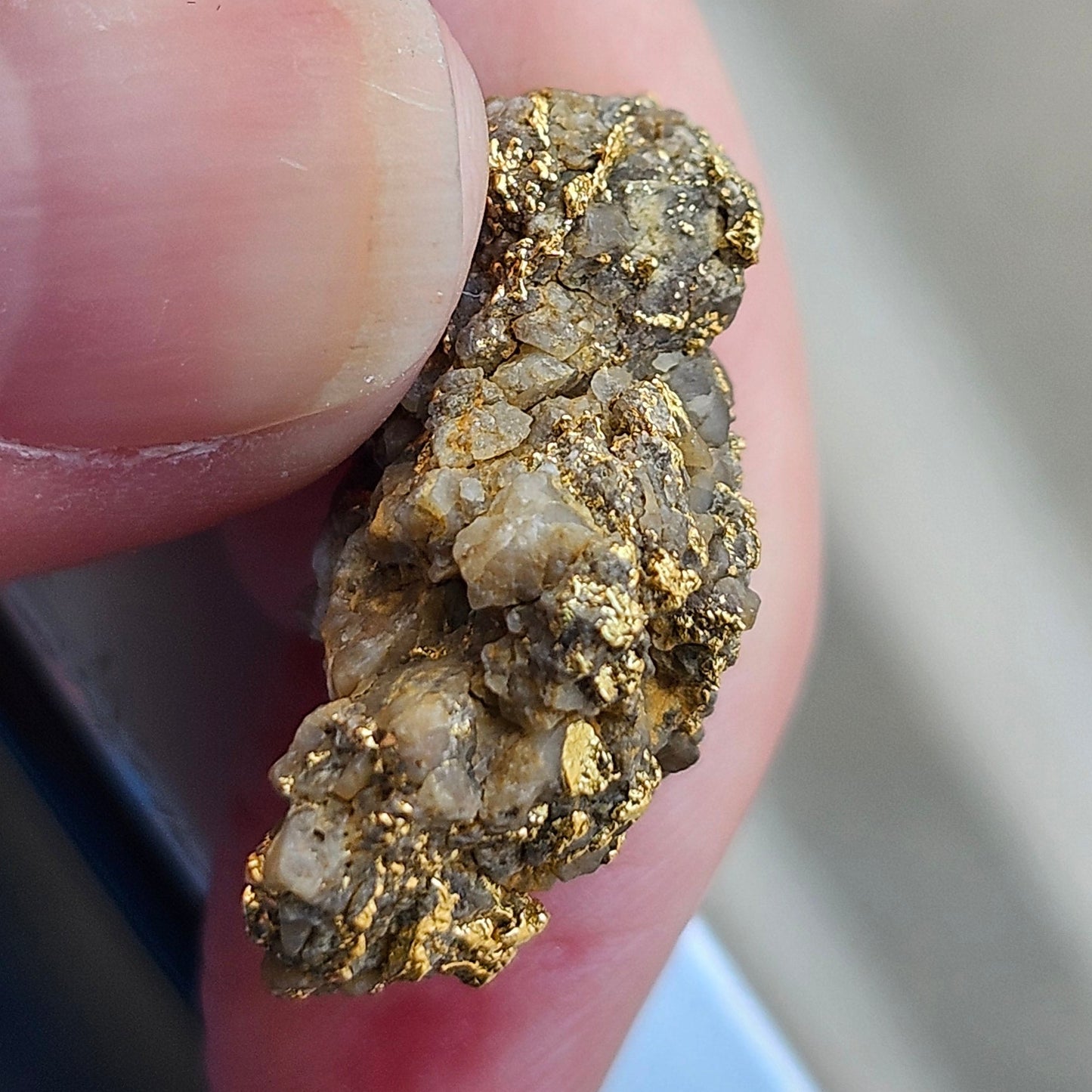 "Medius" | California Gold Nugget Specimen in Quartz | 12.52 grams