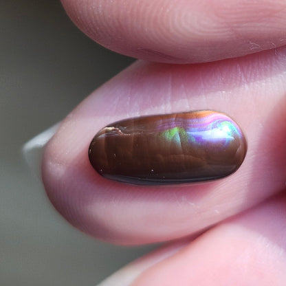 2.02ct Loose Fire Agate | Freeform Oval Cabochon