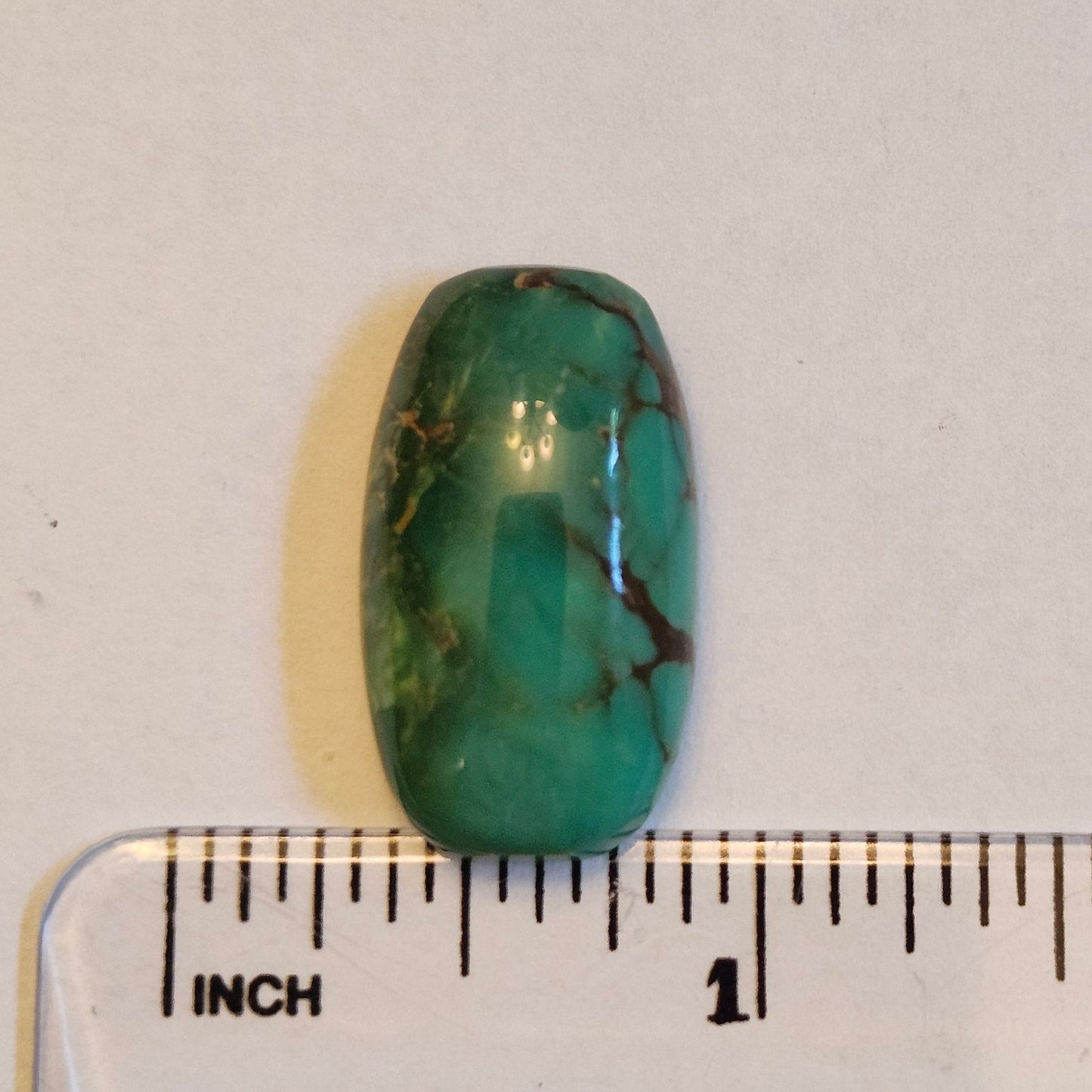 Turquoise #113 | Royston
