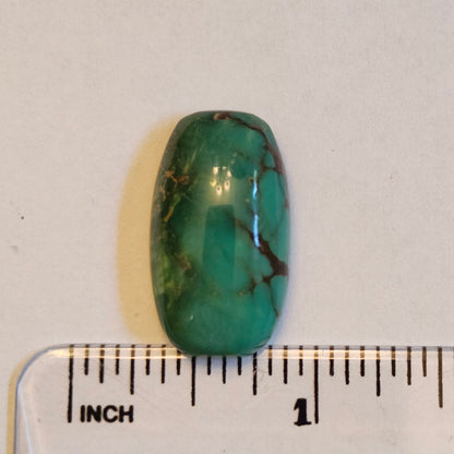 Turquoise #113 | Royston