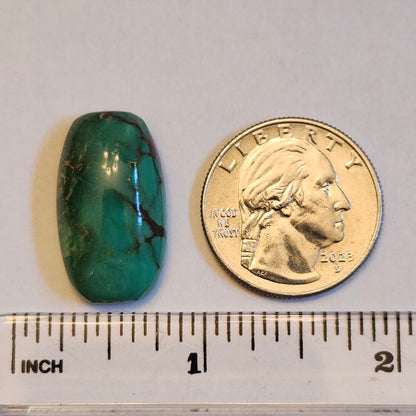 Turquoise #113 | Royston