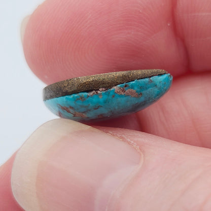 10.42ct Pilot Mountain Turquoise | Freeform Pear Cabochon | #526