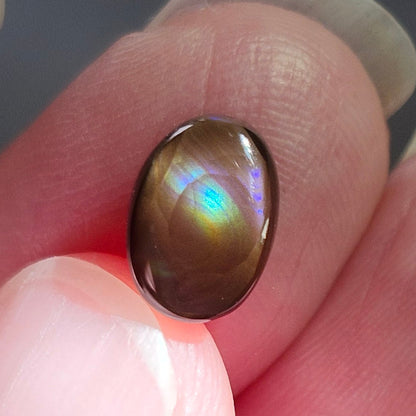 2.53ct Loose Fire Agate | Oval Cabochon
