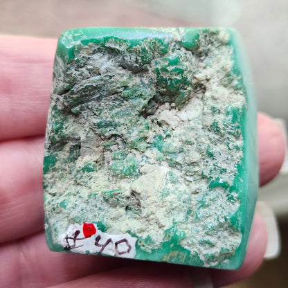Utah Variscite #40 | Preformed Specimen