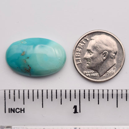 11.66ct Pilot Mountain Turquoise | Oval Cabochon | #522