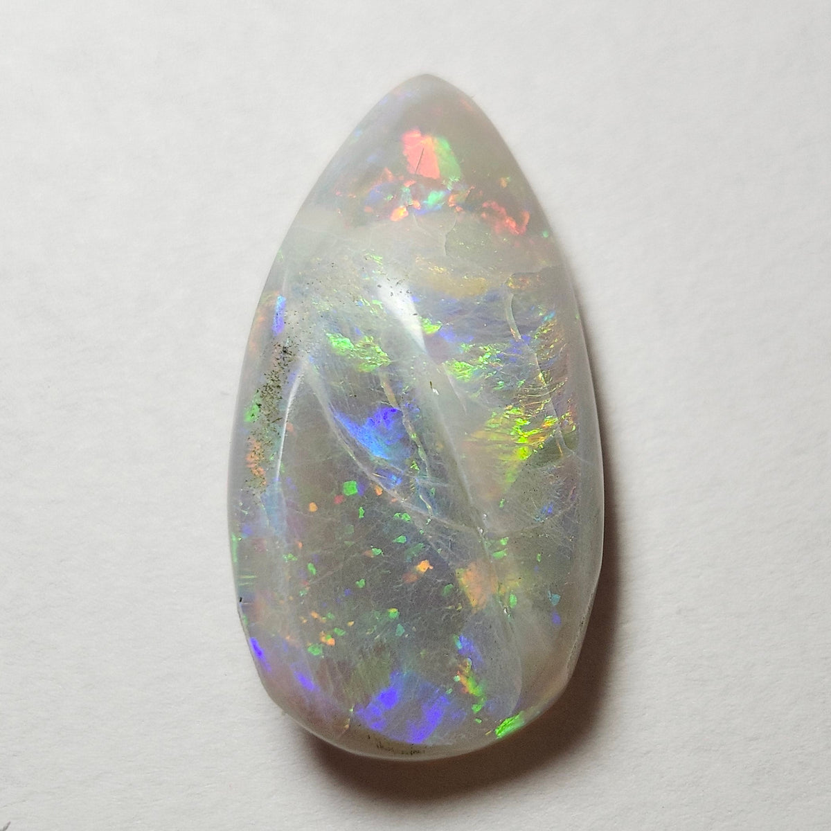 14.44ct Lightning Ridge Semi-Black Australian Opalized Fossil Shell | Freeform Pear | #E289