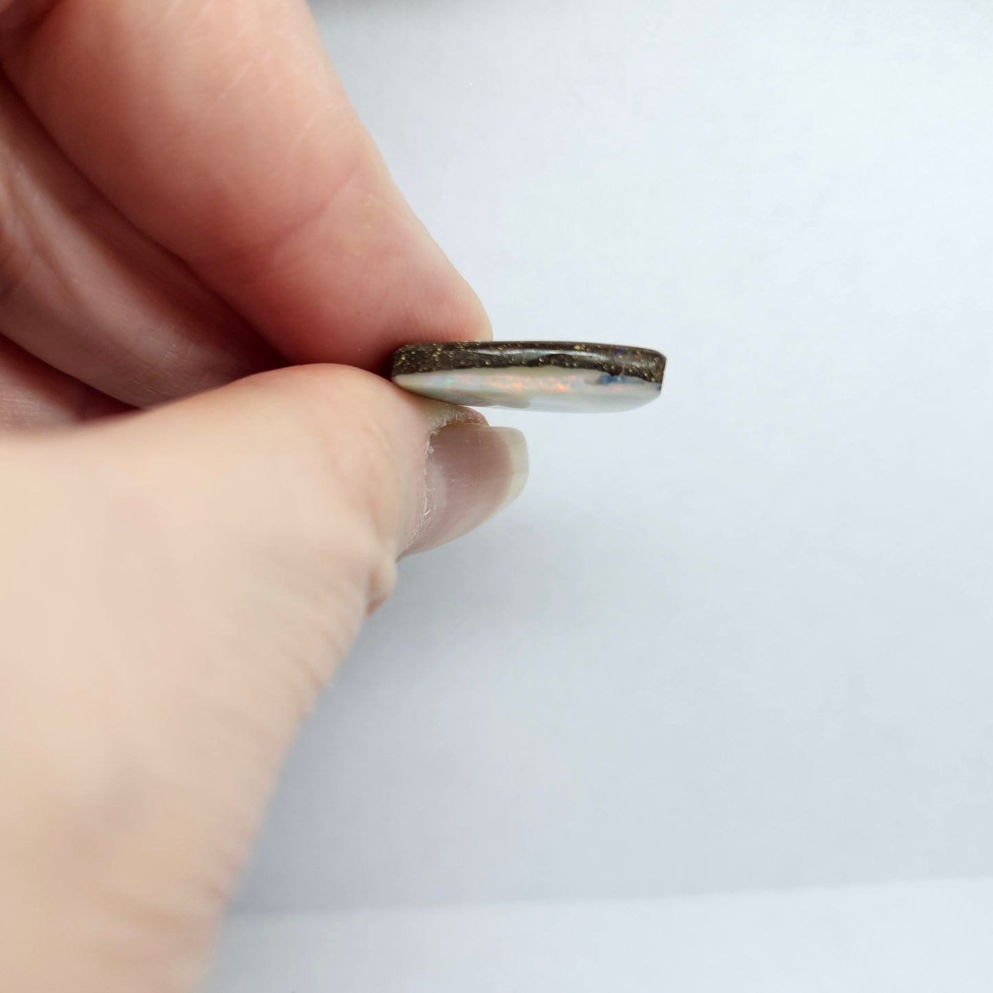 11.41ct Quilpie Boulder Opal | #E247