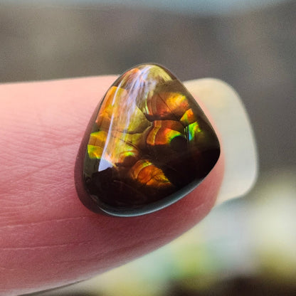 4.36ct Loose Fire Agate | Freeform Cabochon