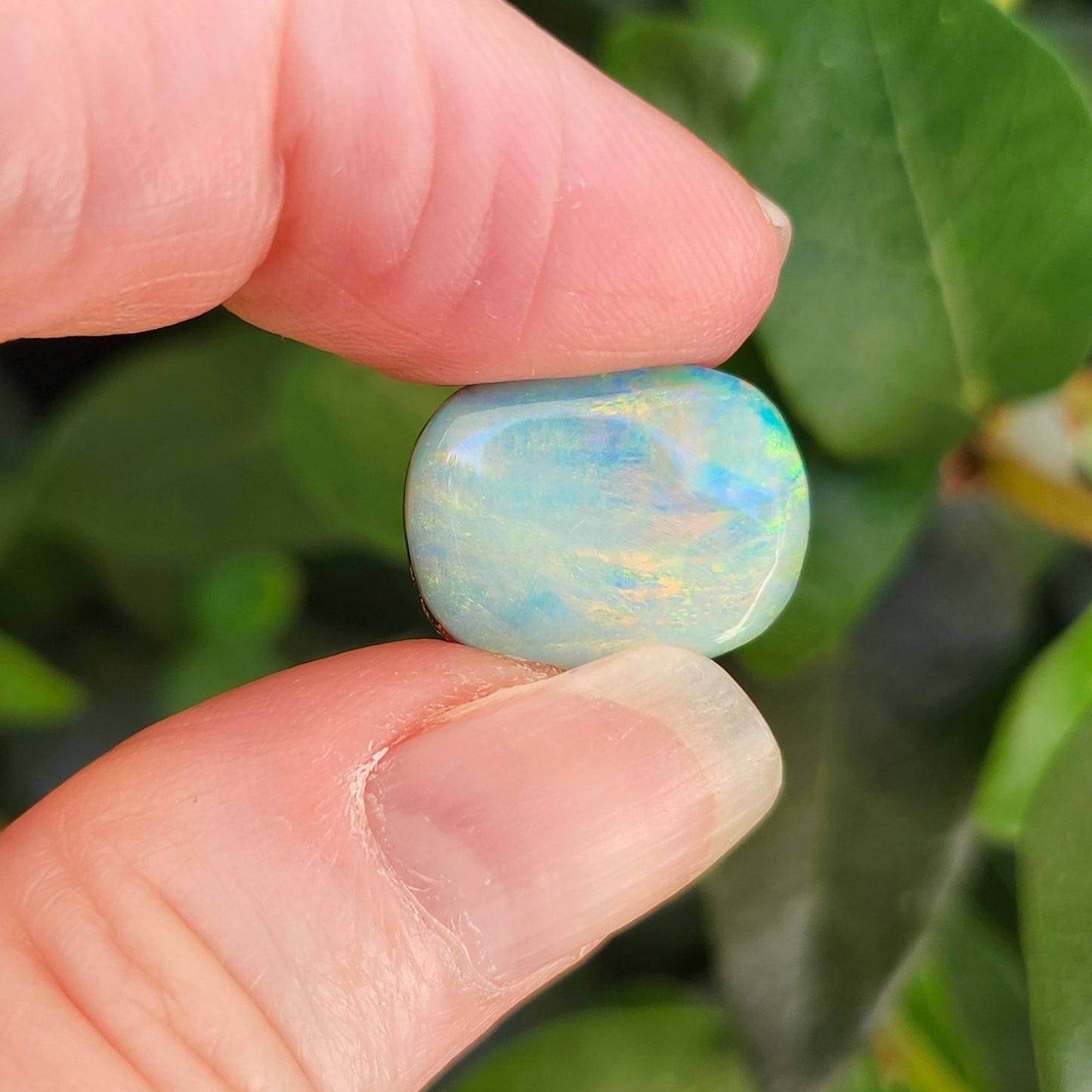 10.28ct Quilpie Boulder Opal | #E254