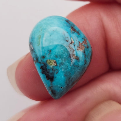 10.42ct Pilot Mountain Turquoise | Freeform Pear Cabochon | #526