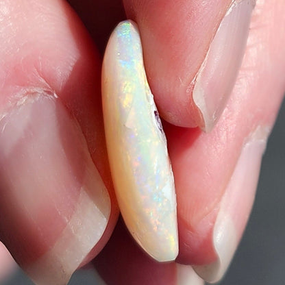 10.46ct Quilpie Boulder Opal | #E240