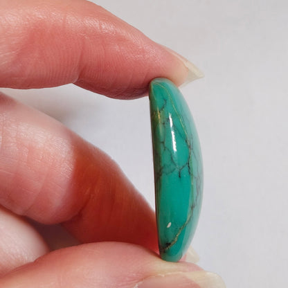Turquoise #275 | Tyrone | Burro Mountains | Cushion Cut Cabochon