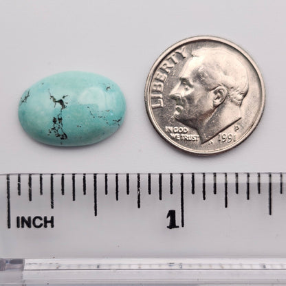 5.70ct Pilot Mountain Turquoise | Oval Cabochon | #527