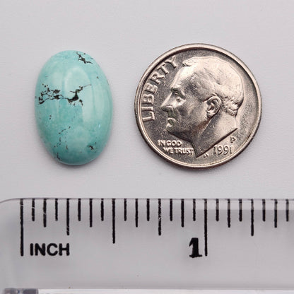 5.70ct Pilot Mountain Turquoise | Oval Cabochon | #527