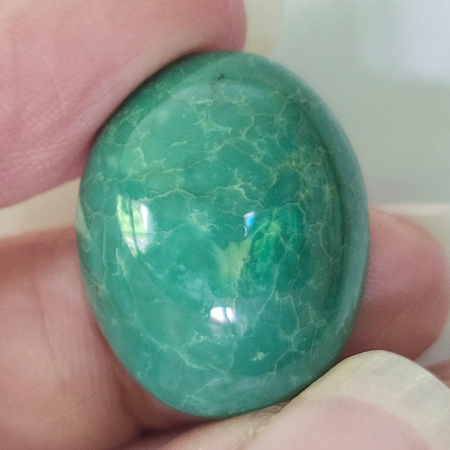 Turquoise #252 | Royston | Oval Cabochon Cut