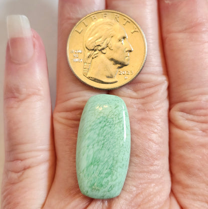Variscite Cabochon #237 | Utah | Cushion Cut