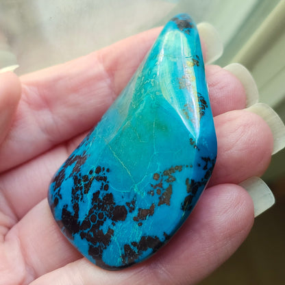 Chrysocolla #210 | Pala Region