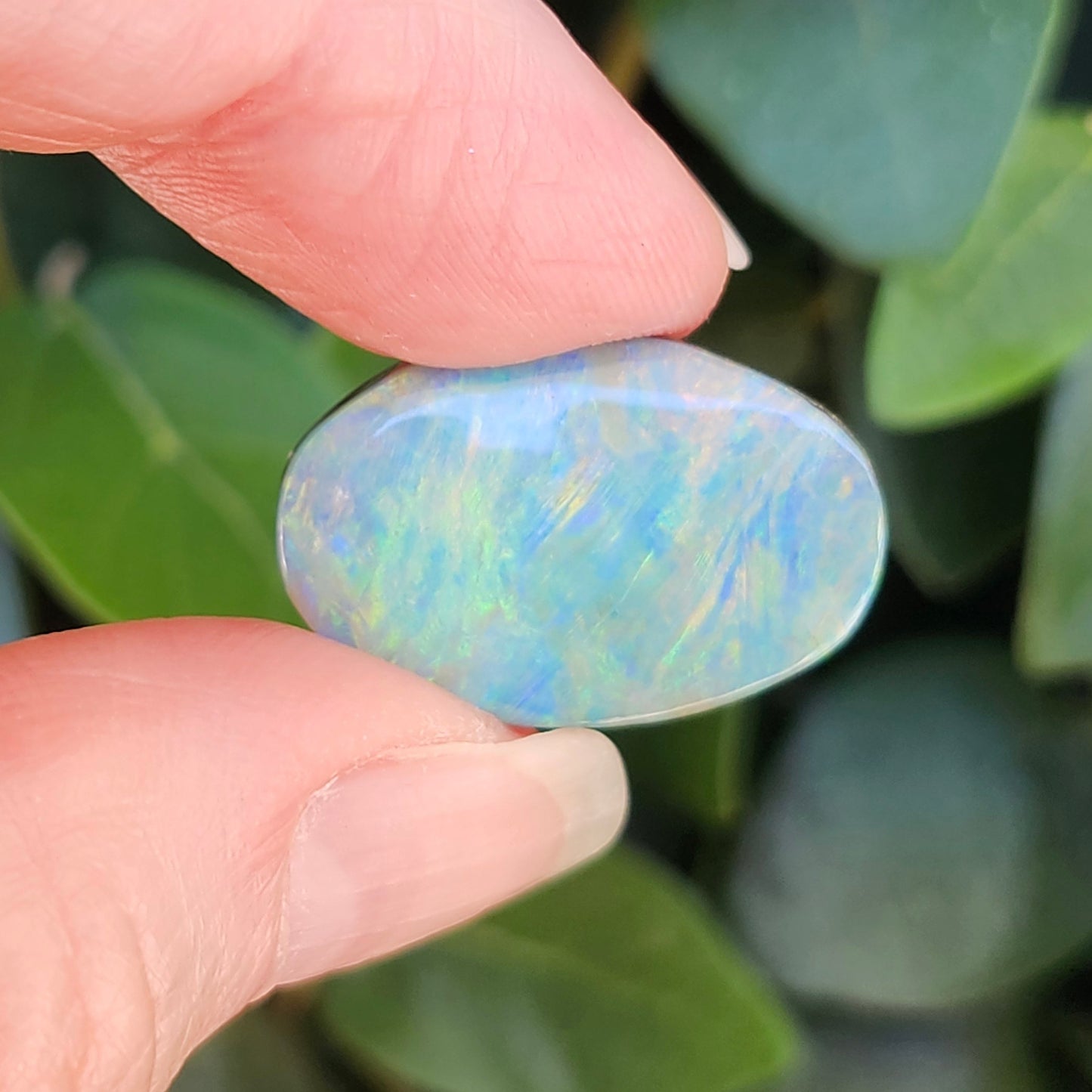 15.51ct Quilpie Boulder Opal | #E250