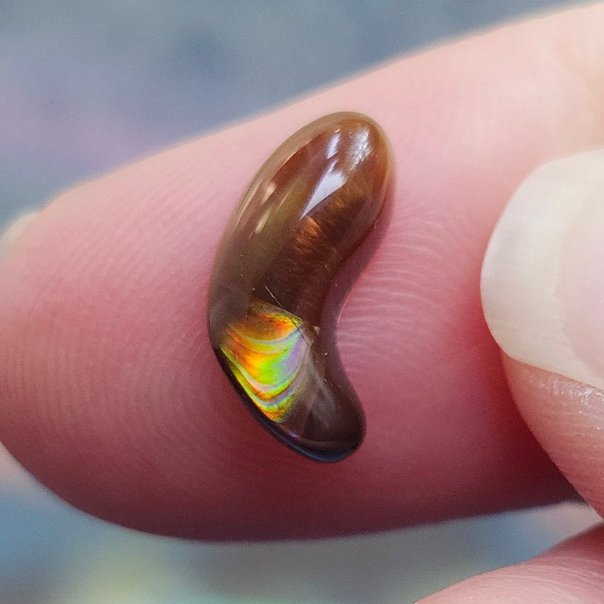 2.83ct Loose Fire Agate | Freeform Cabochon