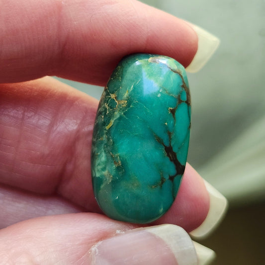 Turquoise #113 | Royston