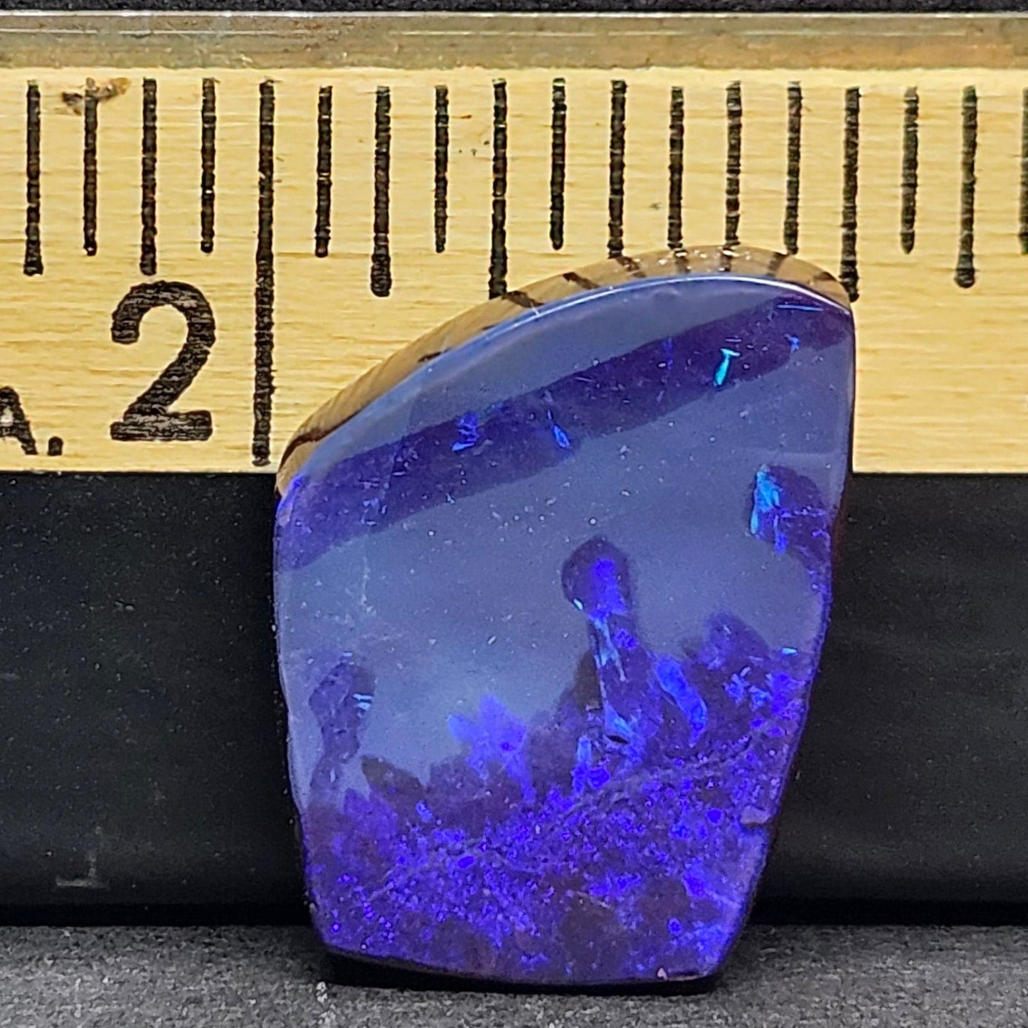 16.59ct Quilpie Black Boulder Opal | #E230