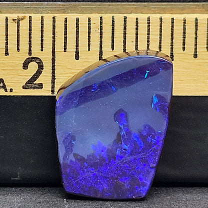 16.59ct Quilpie Black Boulder Opal | #E230