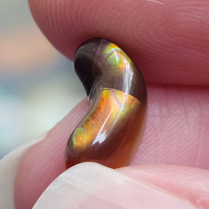 2.83ct Loose Fire Agate | Freeform Cabochon