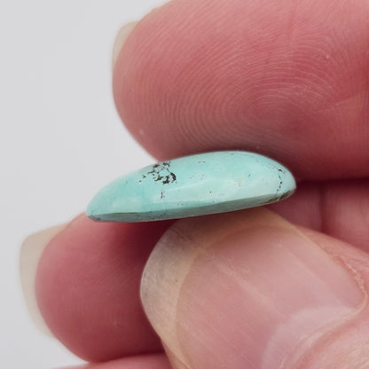 5.70ct Pilot Mountain Turquoise | Oval Cabochon | #527