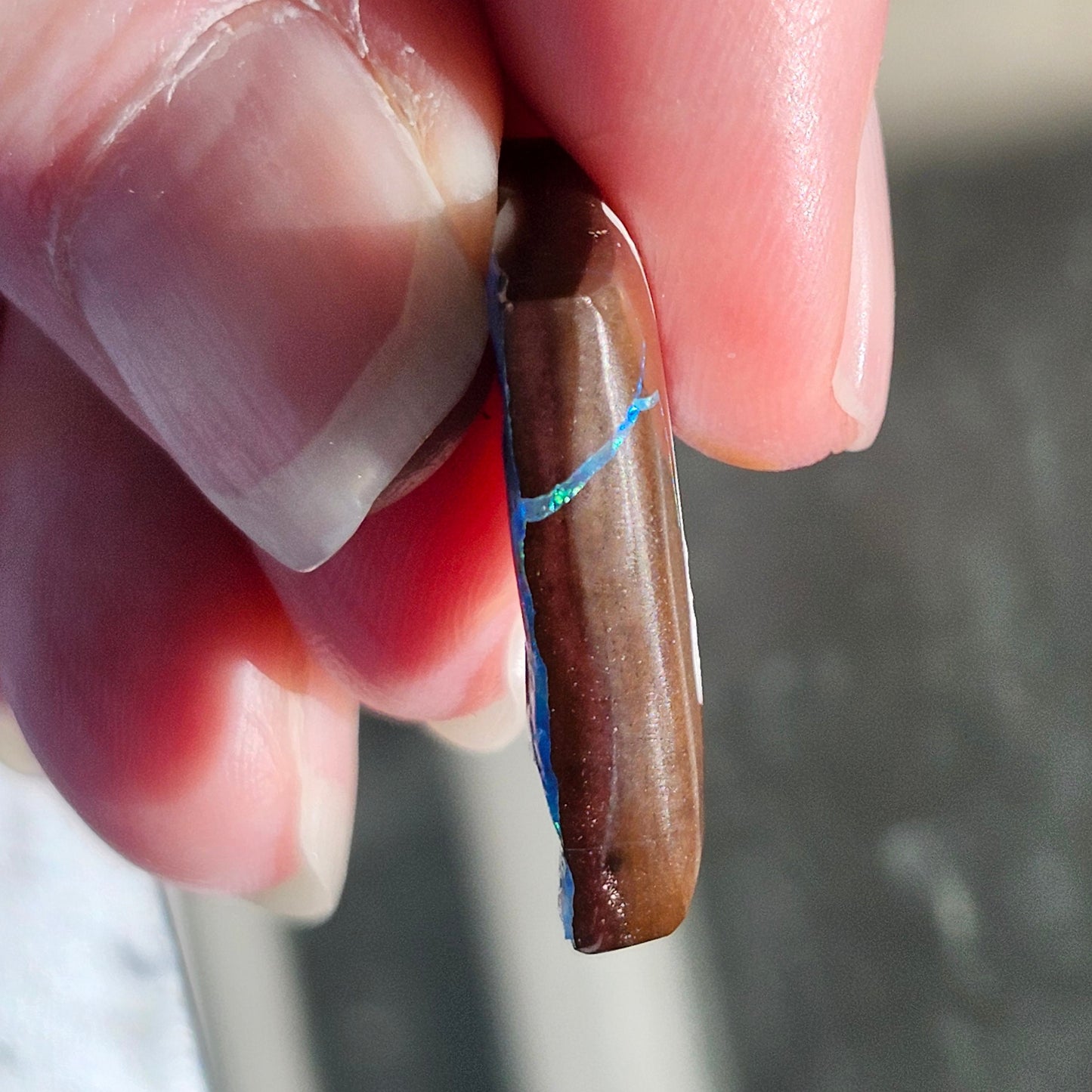 19.12ct Quilpie Black Boulder Opal | #E231