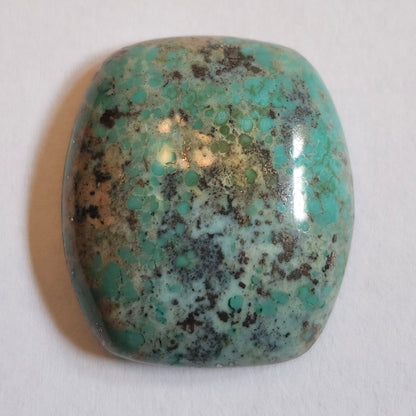 Turquoise #258 | Monte Cristo | Pilot Mountain | Cushion Cut Cabochon