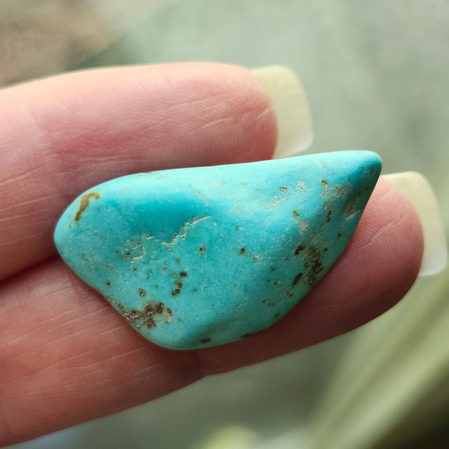 Turquoise #307 | Kingman | Preformed Cut | Freeform