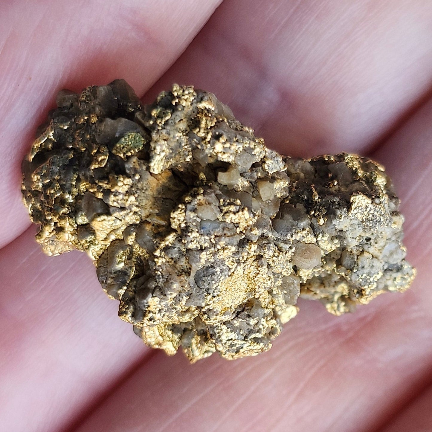 "Medius" | California Gold Nugget Specimen in Quartz | 12.52 grams