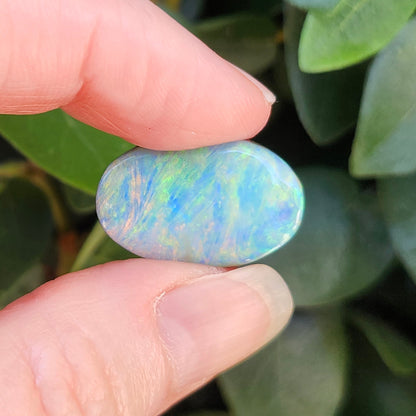 15.51ct Quilpie Boulder Opal | #E250