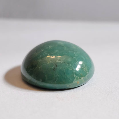 Turquoise #252 | Royston | Oval Cabochon Cut