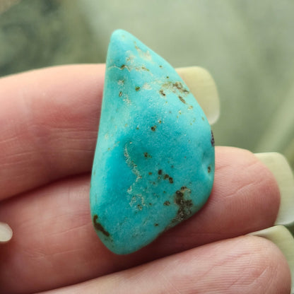 Turquoise #307 | Kingman | Preformed Cut | Freeform