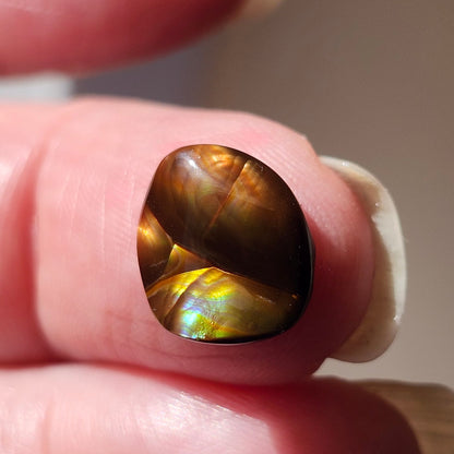 3.43ct Loose Fire Agate | Freeform Oval Cabochon