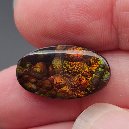 10.08ct Loose Fire Agate | Oval Cabochon