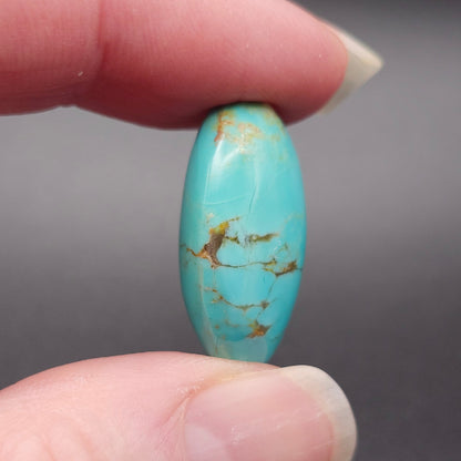 20.98ct Pilot Mountain Turquoise | Oval Cabochon | #518