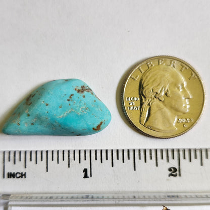 Turquoise #307 | Kingman | Preformed Cut | Freeform