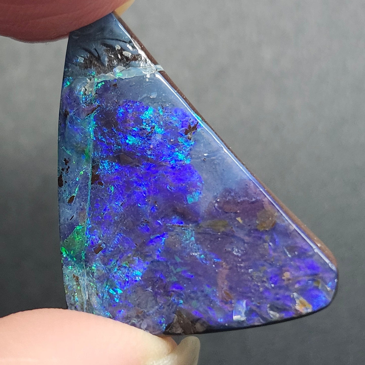19.12ct Quilpie Black Boulder Opal | #E231