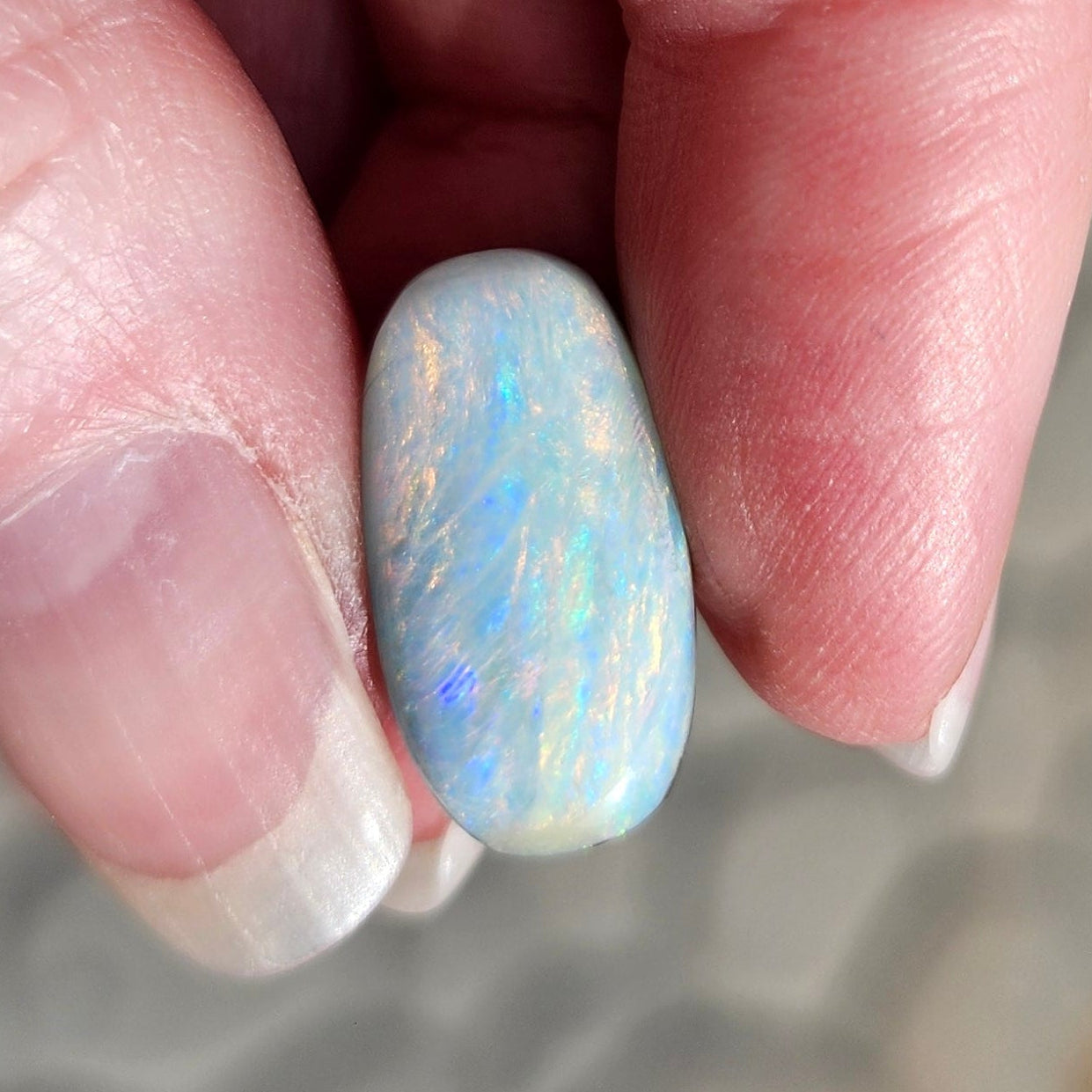 7.90ct Quilpie Boulder Opal | #E279