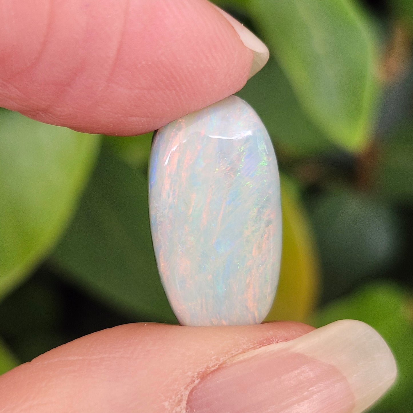 7.90ct Quilpie Boulder Opal | #E279