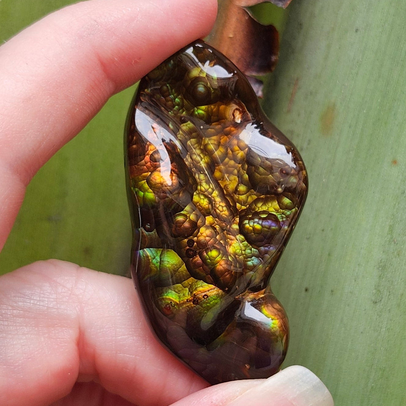 97.57ct Loose Mexican Fire Agate | Freeform Cabochon | #7