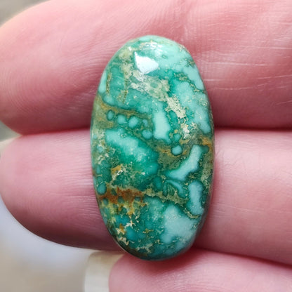 Turquoise #187 | Royston | Oval Cabochon Cut
