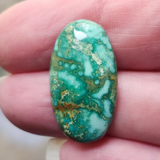 Turquoise #187 | Royston | Oval Cabochon Cut