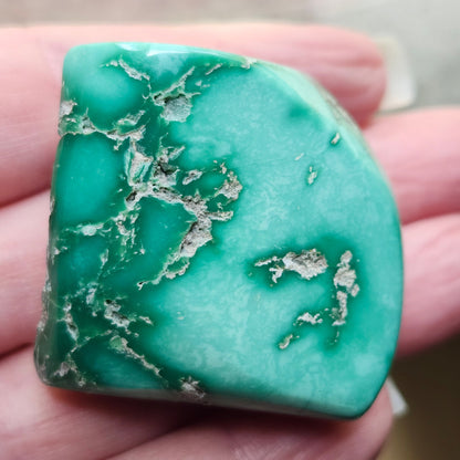 Utah Variscite #40 | Preformed Specimen